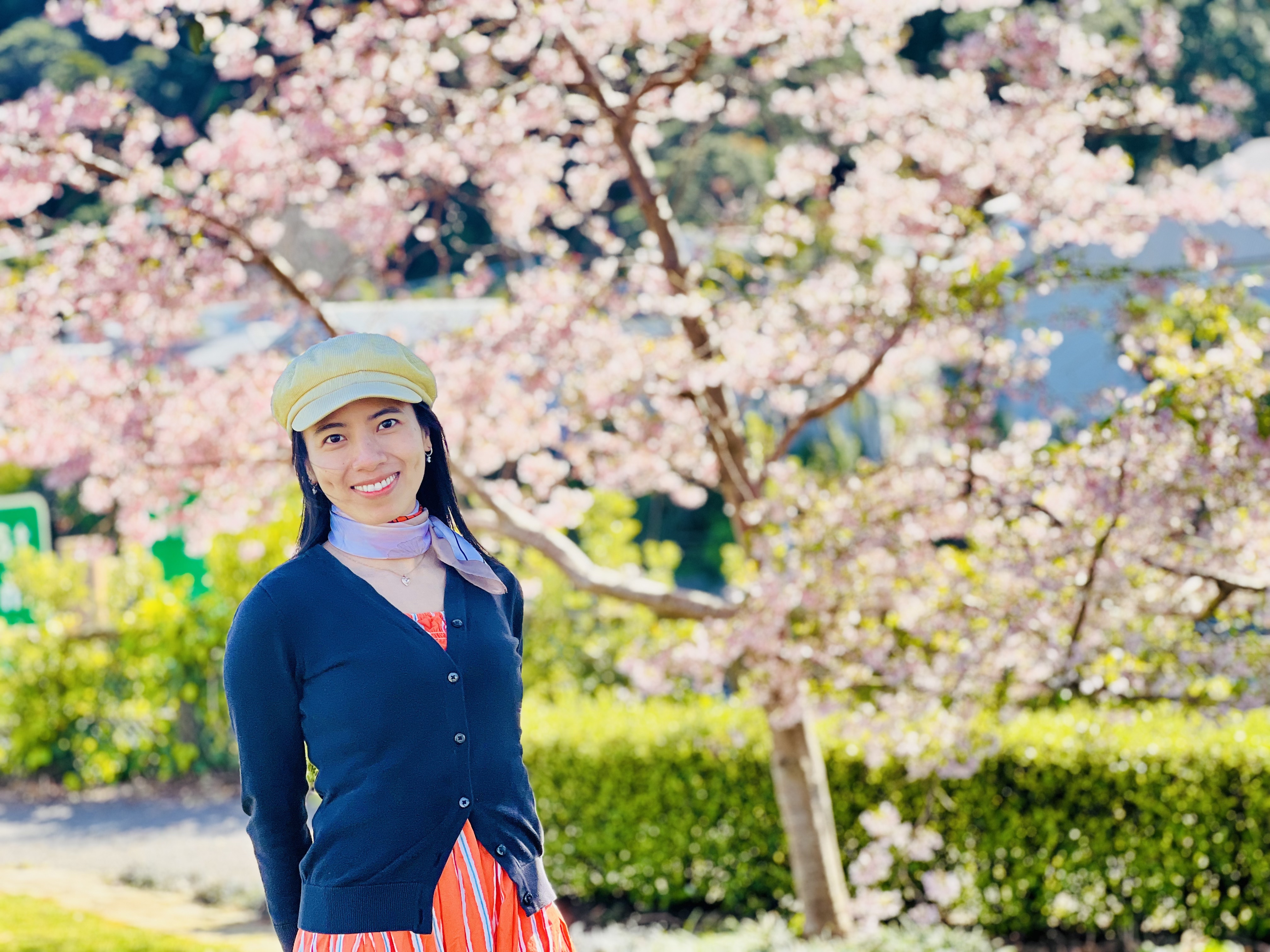 Van beneath spring blossoms in Wellington